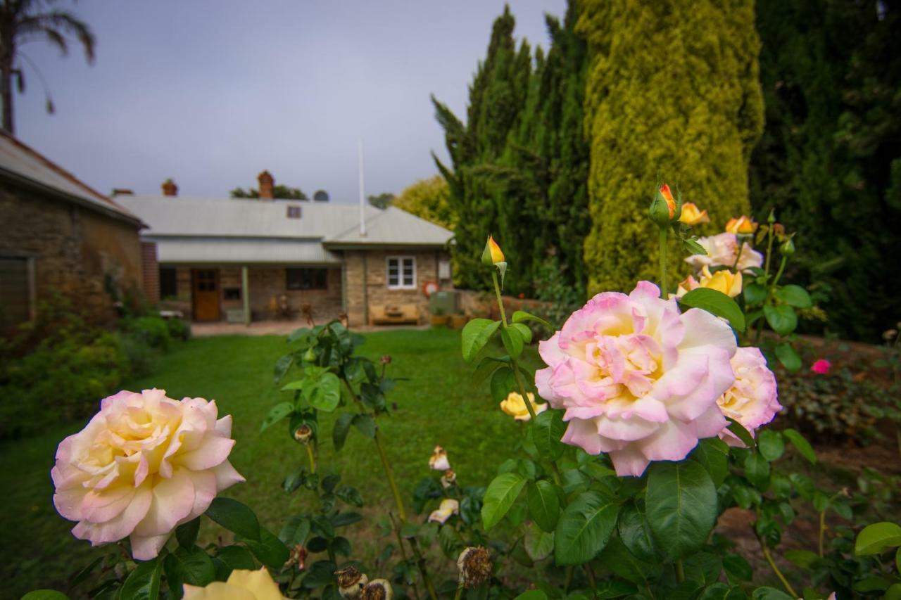 Grand Cru Estate Homestead Springton Extérieur photo